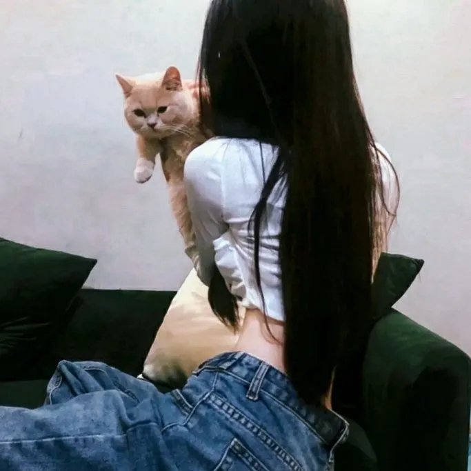 坏狗